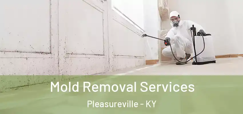  Mold Removal Services Pleasureville - KY