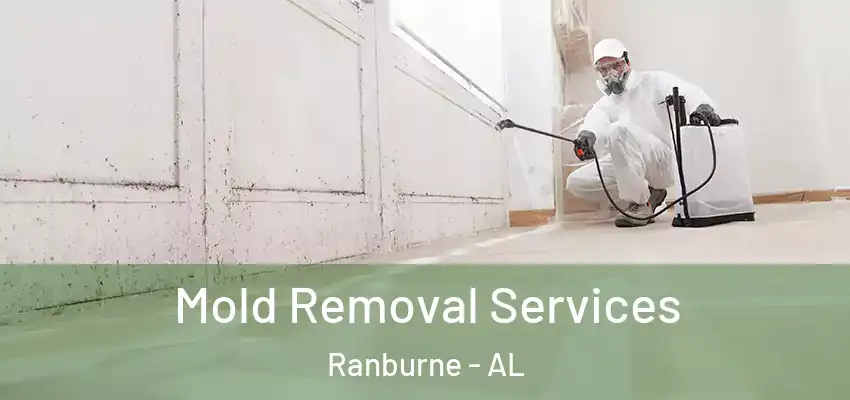 Mold Removal Services Ranburne - AL