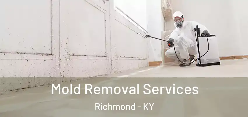 Mold Removal Services Richmond - KY