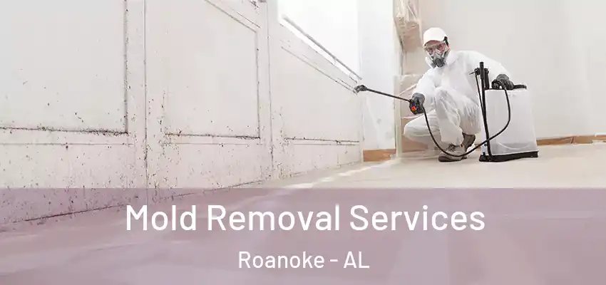  Mold Removal Services Roanoke - AL