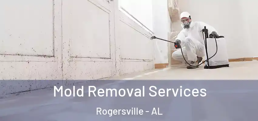 Mold Removal Services Rogersville - AL