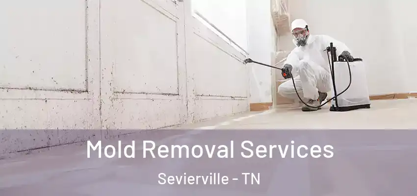 Mold Removal Services Sevierville - TN