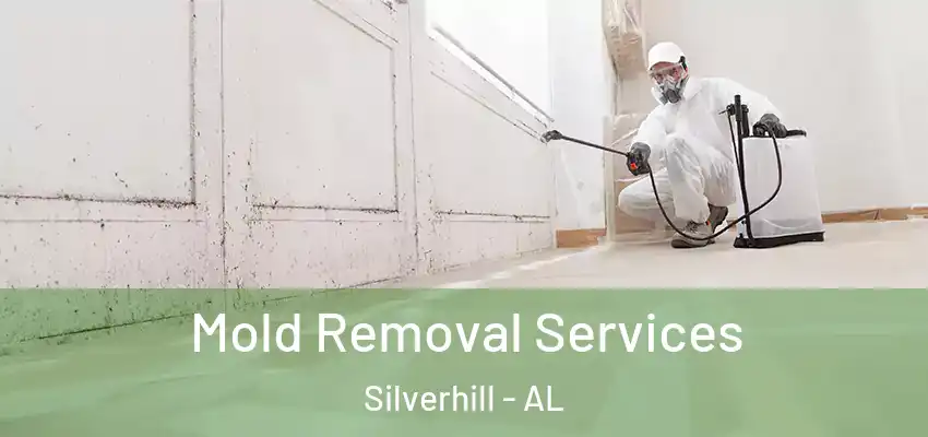  Mold Removal Services Silverhill - AL