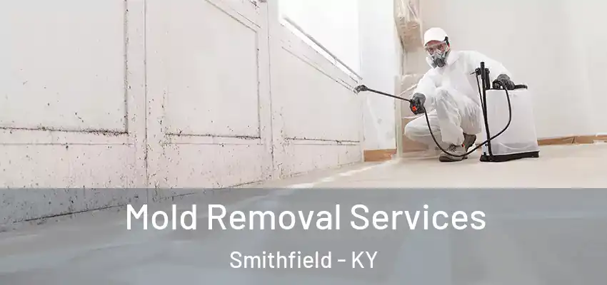  Mold Removal Services Smithfield - KY