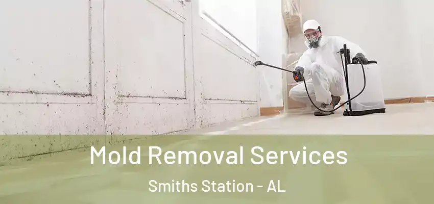 Mold Removal Services Smiths Station - AL
