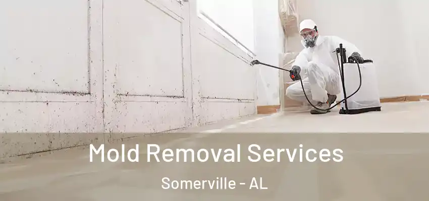 Mold Removal Services Somerville - AL