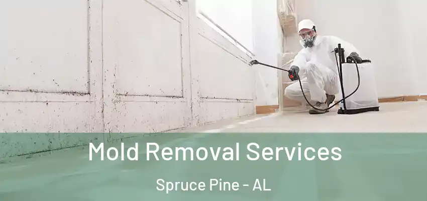  Mold Removal Services Spruce Pine - AL