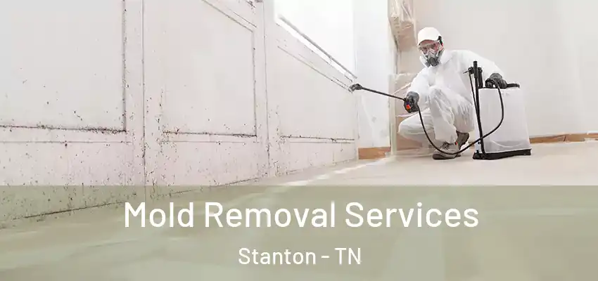 Mold Removal Services Stanton - TN