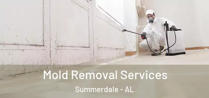 Mold Removal Services Summerdale - AL