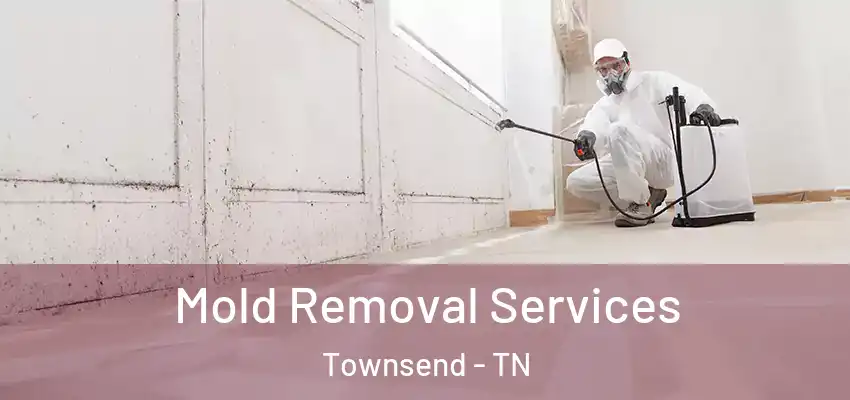  Mold Removal Services Townsend - TN