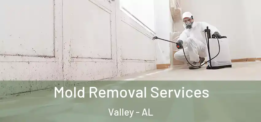 Mold Removal Services Valley - AL