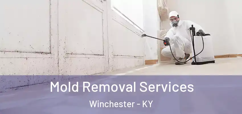 Mold Removal Services Winchester - KY