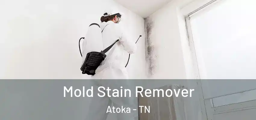  Mold Stain Remover Atoka - TN