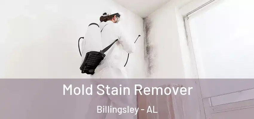 Mold Stain Remover Billingsley - AL