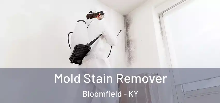  Mold Stain Remover Bloomfield - KY