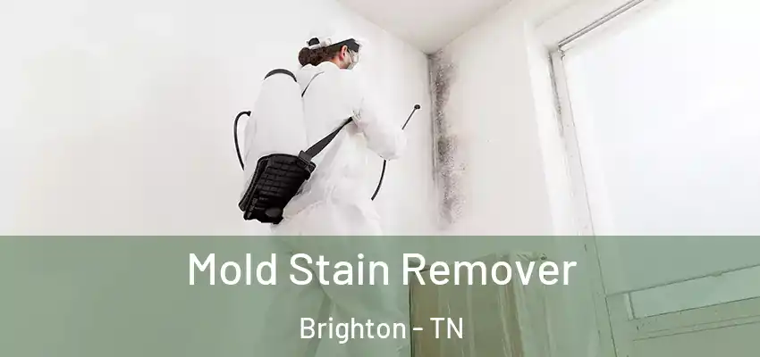  Mold Stain Remover Brighton - TN