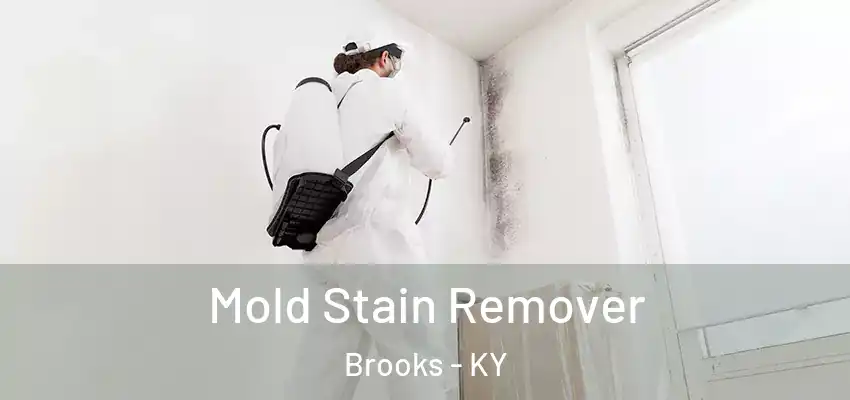  Mold Stain Remover Brooks - KY
