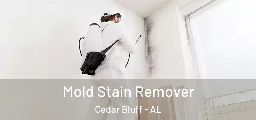  Mold Stain Remover Cedar Bluff - AL