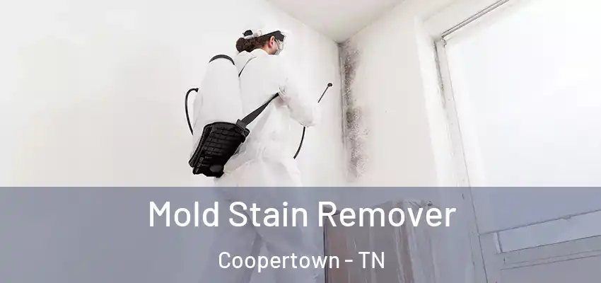 Mold Stain Remover Coopertown - TN