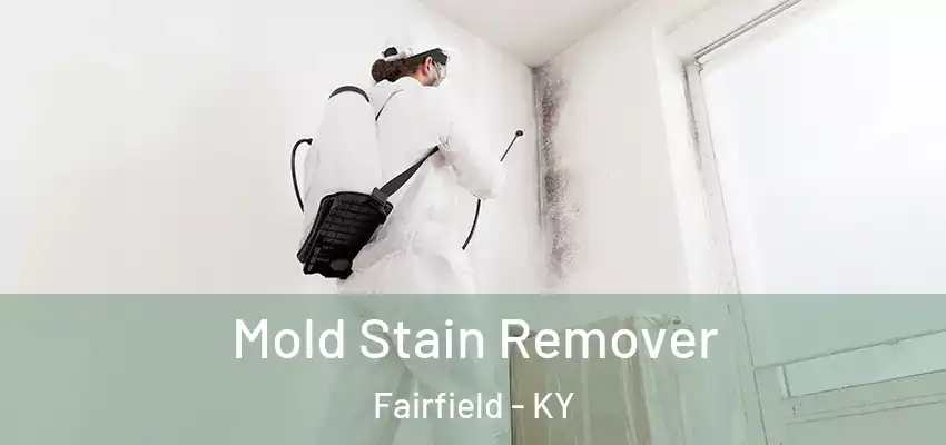 Mold Stain Remover Fairfield - KY