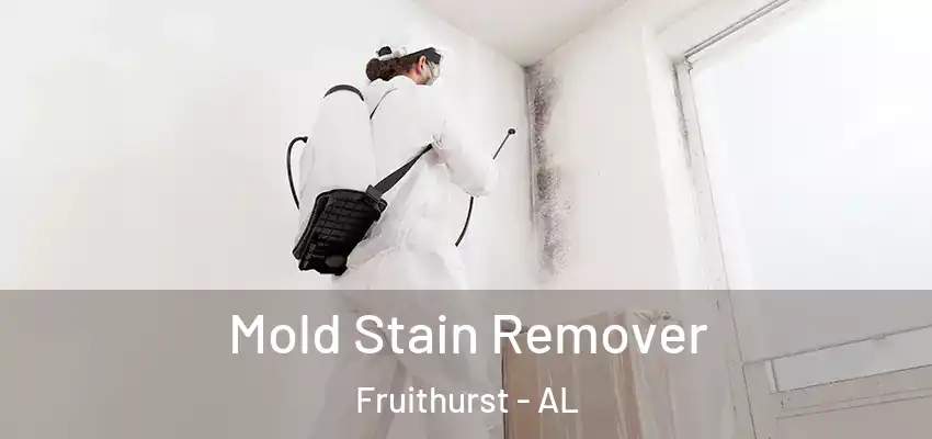 Mold Stain Remover Fruithurst - AL