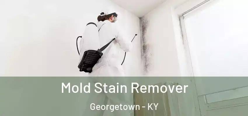 Mold Stain Remover Georgetown - KY