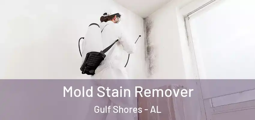 Mold Stain Remover Gulf Shores - AL