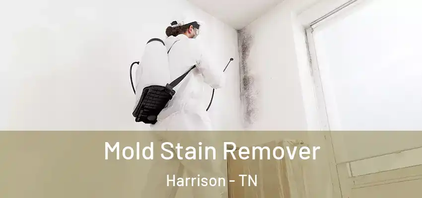 Mold Stain Remover Harrison - TN