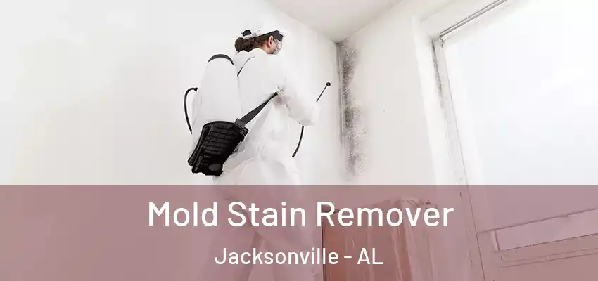 Mold Stain Remover Jacksonville - AL
