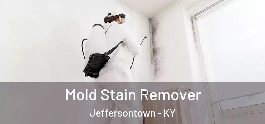 Mold Stain Remover Jeffersontown - KY