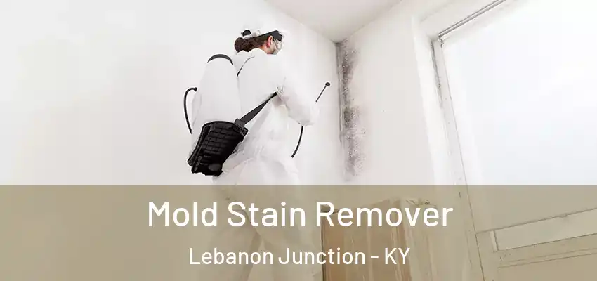 Mold Stain Remover Lebanon Junction - KY