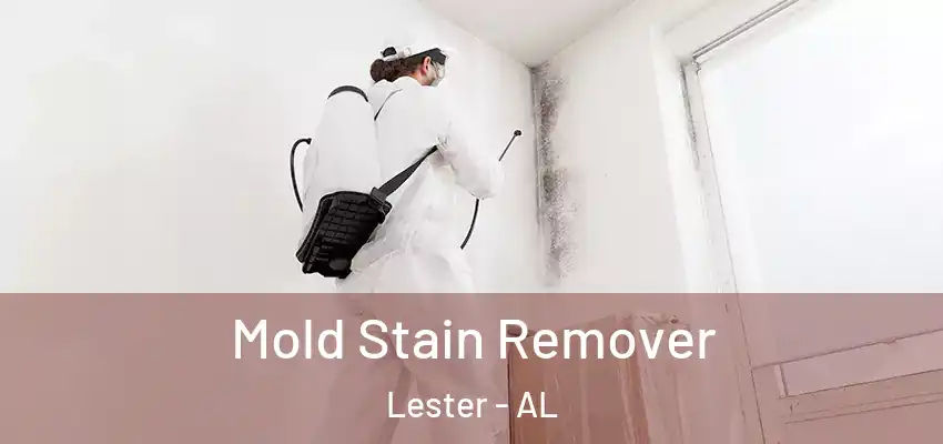 Mold Stain Remover Lester - AL