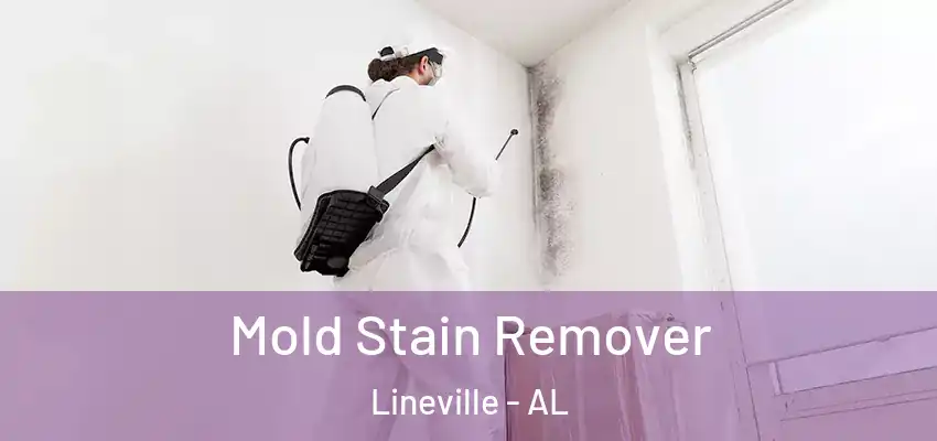  Mold Stain Remover Lineville - AL
