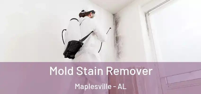 Mold Stain Remover Maplesville - AL