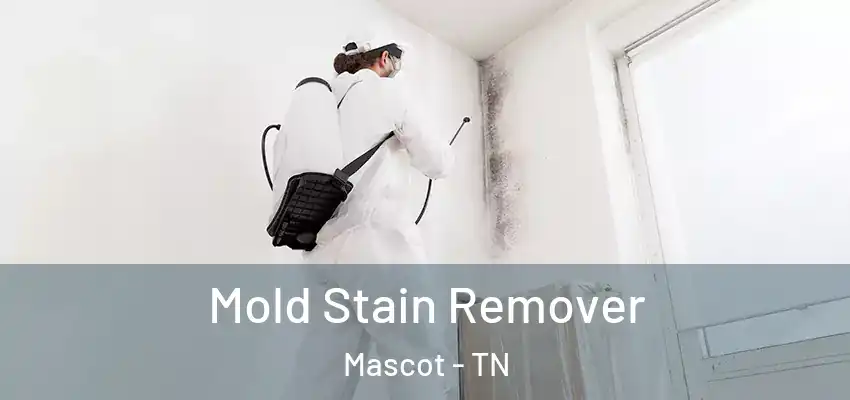 Mold Stain Remover Mascot - TN