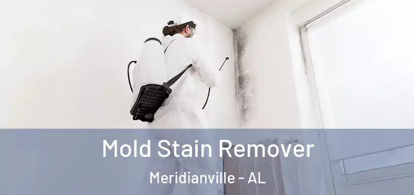  Mold Stain Remover Meridianville - AL