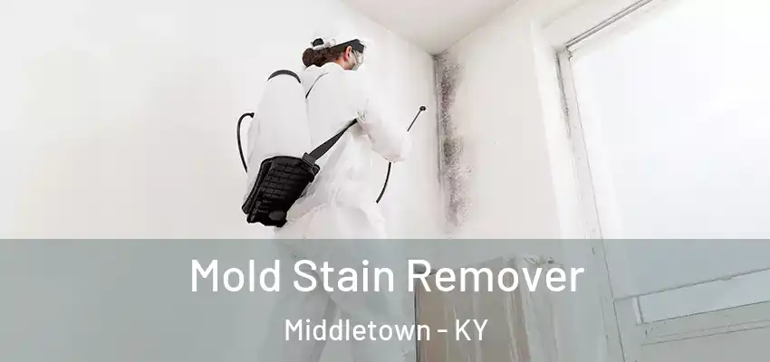  Mold Stain Remover Middletown - KY