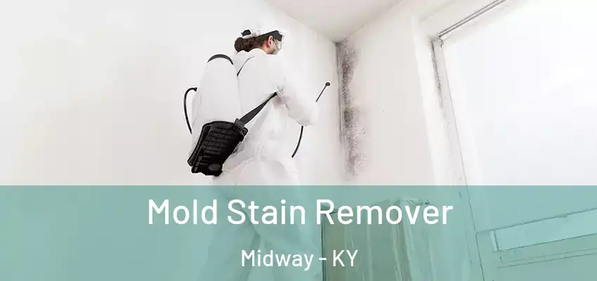  Mold Stain Remover Midway - KY