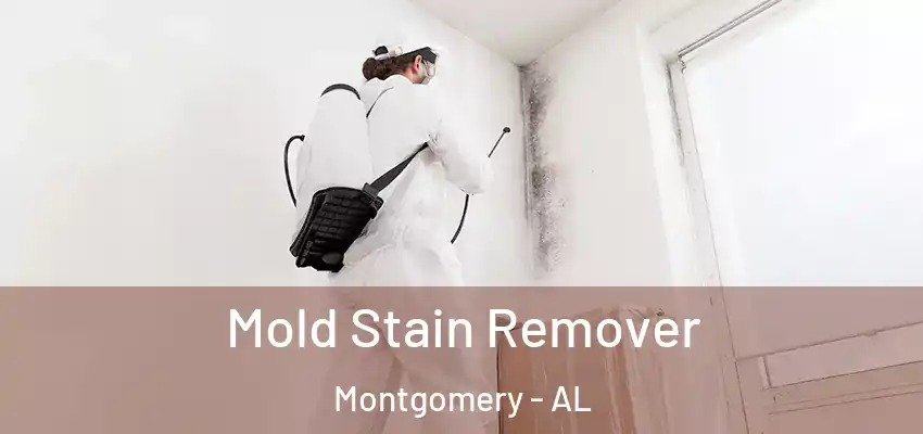 Mold Stain Remover Montgomery - AL