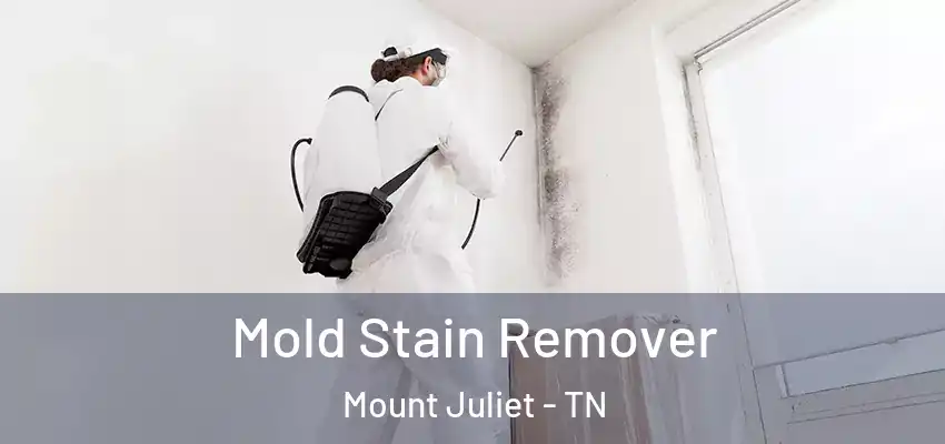Mold Stain Remover Mount Juliet - TN