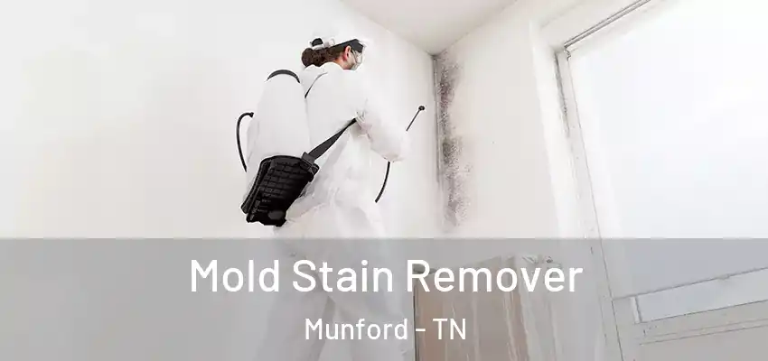 Mold Stain Remover Munford - TN