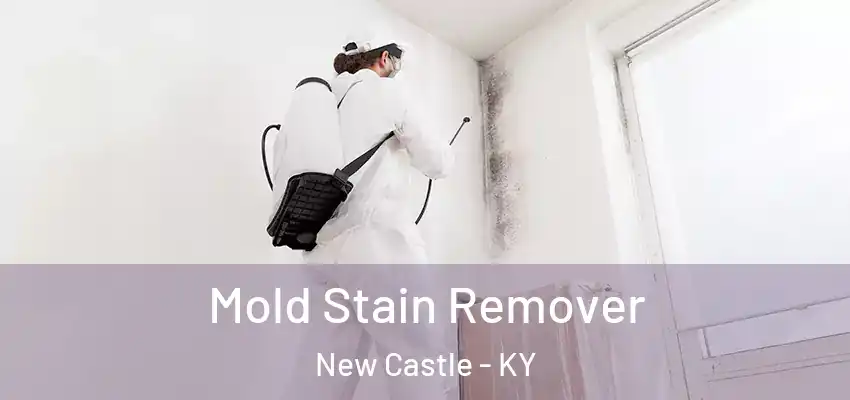  Mold Stain Remover New Castle - KY