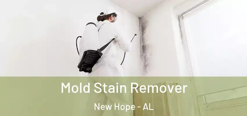  Mold Stain Remover New Hope - AL