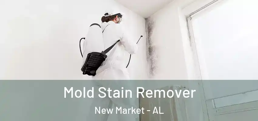 Mold Stain Remover New Market - AL