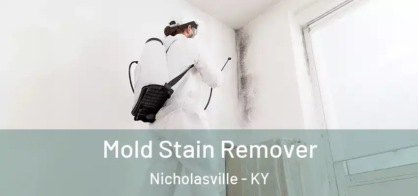  Mold Stain Remover Nicholasville - KY