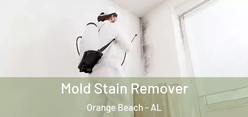  Mold Stain Remover Orange Beach - AL