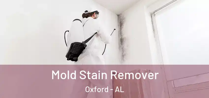  Mold Stain Remover Oxford - AL