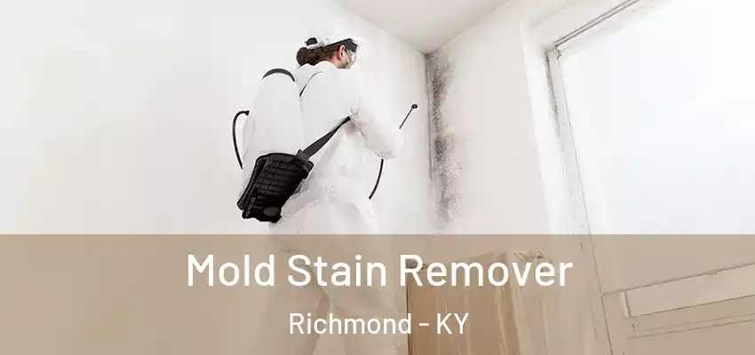 Mold Stain Remover Richmond - KY