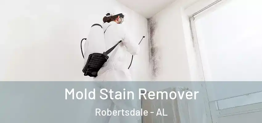  Mold Stain Remover Robertsdale - AL