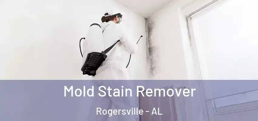  Mold Stain Remover Rogersville - AL